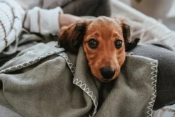 HUNTER Blanket Casper fleecepeitto, 140x100 cm, Olive Green| Tyynyt Ja Peitot