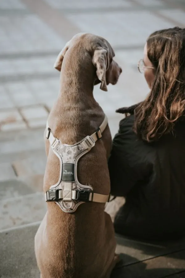 HUNTER Harness Divo valjaat, XS-S, Camouflage Beige| Valjaat