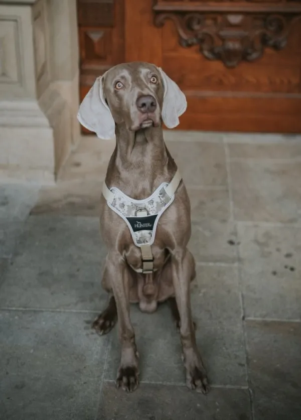 HUNTER Harness Divo valjaat, 79-107/L-XL, Camouflage Beige| Valjaat