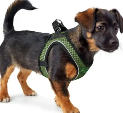 HUNTER Valjaat^Harness Hilo Comfort valjaat, XXS-XS, Dark Green