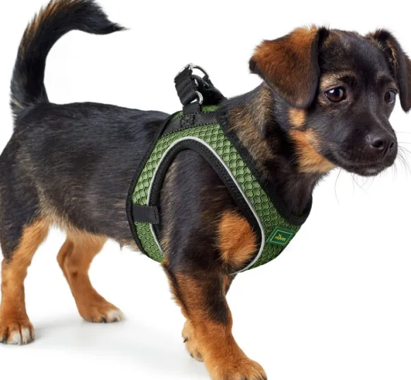 HUNTER Valjaat^Harness Hilo Comfort valjaat, XXS-XS, Dark Green