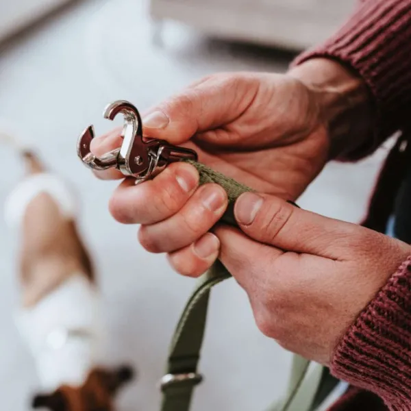 HUNTER Inari T-Leash koiran talutushihna, 20/200 cm, Linden Green| Taluttimet