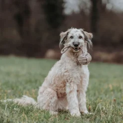 HUNTER Inari Toy Dog Ball koiran heittolelu, M, Tan| Noutolelut
