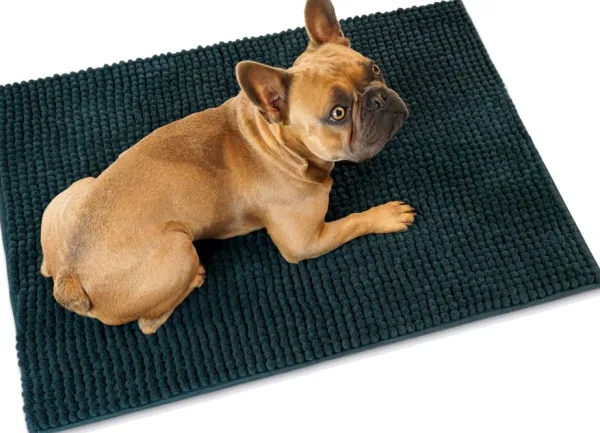 HUNTER koiran kuramatto, tummanharmaa, S| Tyynyt Ja Peitot