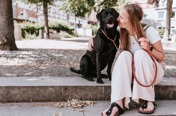 HUNTER T-Collar R&S Canadian UP puolikuristava kaulapanta, M-L, Cognac| Kaulapannat