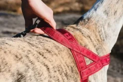 Hurtta Valjaat^Casual Harness ECO valjaat, 50 - 80 cm, punainen