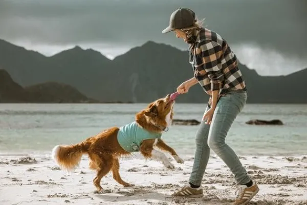 Hurtta Cooling Wrap koiran viilennysliivit, 75–85 cm, vaaleansininen| Viilennys Ja Aurinkosuoja