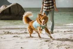 Hurtta Cooling Wrap koiran viilennysliivit, 75–85 cm, vaaleansininen| Viilennys Ja Aurinkosuoja