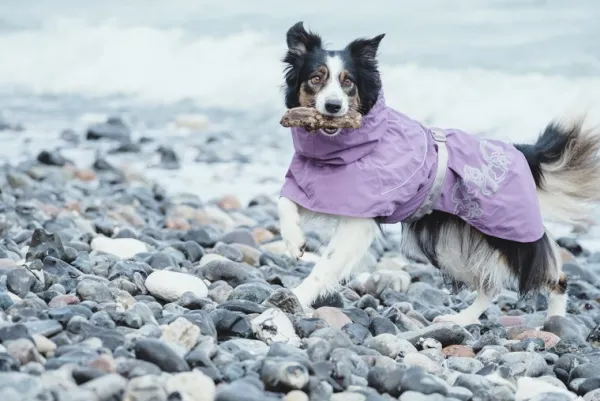 Hurtta Outlet - Koiralle^Drizzle koiran sadetakki, korppi 40-55 cm