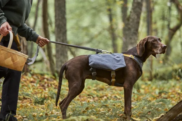 Hurtta Koiran Reput^Expedition Pack ECO koiran reppu, 75-95cm, Blackberry