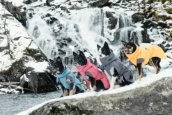 Hurtta Talvitakit^Expedition Parka koirantakki, 35cm XL, Bilberry