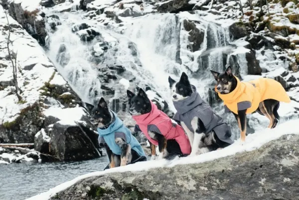 Hurtta Talvitakit^Expedition Parka koirantakki, 60 cm, Bilberry