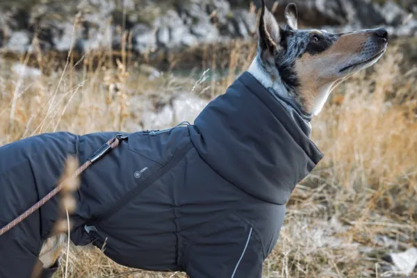 Hurtta Extreme Overall Blackberry 30-45M cm| Talvitakit