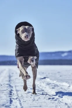 Hurtta Talvitakit^Extreme Warmer III ECO koiran talvitakki, 25-35 cm, Raven