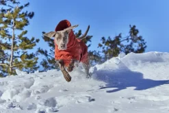 Hurtta Talvitakit^Extreme Warmer III ECO koiran talvitakki, 55-65 cm, Cinnamon