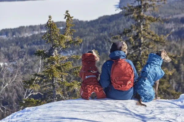 Hurtta Talvitakit^Extreme Warmer III ECO koiran talvitakki, 40-50 cm, Cinnamon