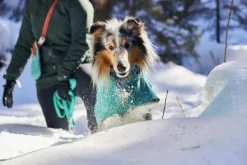 Hurtta Sadetakit^Monsoon Coat II ECO koirantakki, 23-35 cm, Peacock