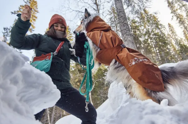 Hurtta Sadetakit^Monsoon Coat II ECO koirantakki, 80 cm, Desert