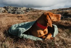 Hurtta Koiranpedit^Outback Dreamer ECO Hedge L