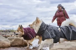 Hurtta Sadetakit^Rainwear Mudventure Coat ECO sadetakki, 40-55 cm, Blackberry