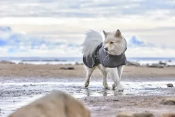 Hurtta Sadetakit^Rainwear Mudventure Coat ECO sadetakki, 40-55 cm, Blackberry