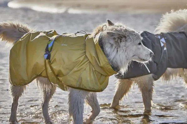 Hurtta Rainwear Mudventure Reflective Coat sadetakki, 25-35 cm, Turmeric| Sadetakit