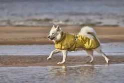 Hurtta Rainwear Mudventure Reflective Coat sadetakki, 25-35 cm, Turmeric| Sadetakit