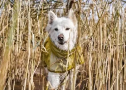 Hurtta Rainwear Mudventure Reflective Coat sadetakki, 25-35 cm, Turmeric| Sadetakit