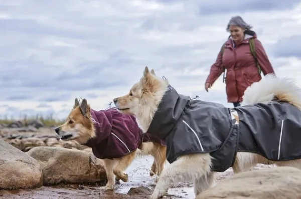 Hurtta Sadetakit^Rainwear Mudventure Coat ECO sadetakki, 60-65 cm, Blackberry