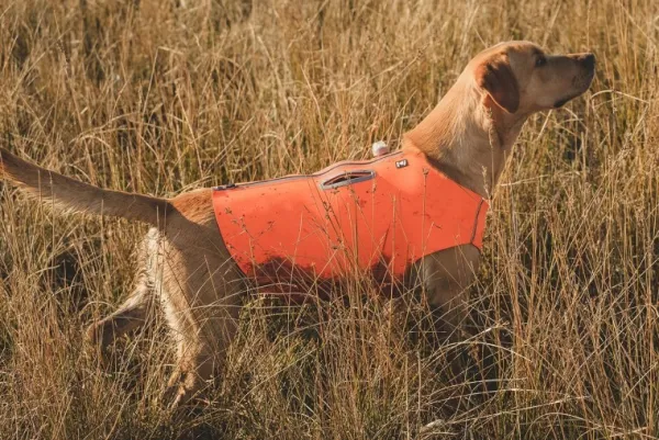 Hurtta Outlet - Koiralle^Rambler -liivi XS