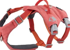 Hurtta Safeguard ECO Sele valjaat, 75-95cm, Strawberry| Valjaat