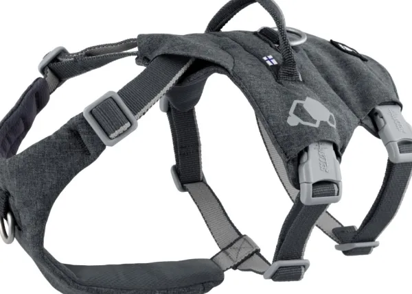 Hurtta Valjaat^Safeguard ECO Sele valjaat, 40-60cm, Blackberry