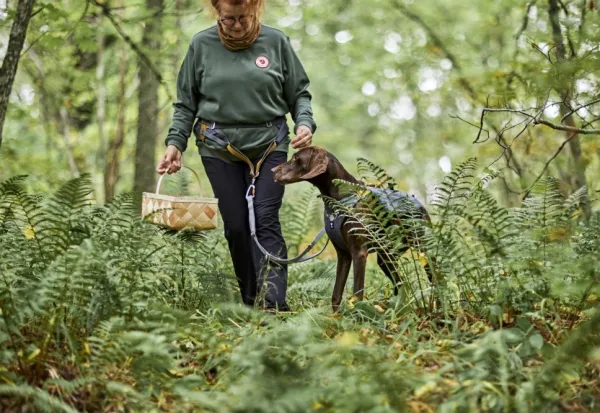 Hurtta Valjaat^Safeguard ECO Sele valjaat, 40-60cm, Blackberry