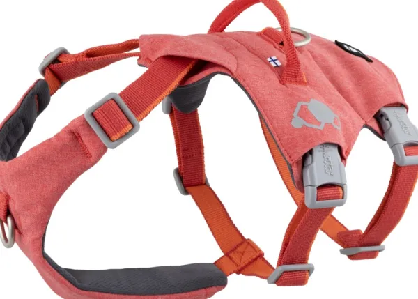 Hurtta Valjaat^Safeguard ECO Sele valjaat, 40-60cm, Strawberry