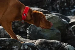 Hurtta Weekend Warrior Eco -panta, oranssi| Kaulapannat