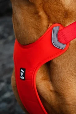 Hurtta Weekend Warrior Eco vetovaljaat, punaoranssi, 100–120 cm| Valjaat