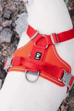 Hurtta Valjaat^Weekend Warrior Eco -valjaat, XS