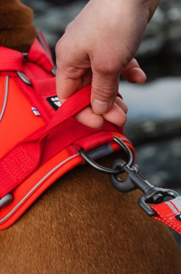 Hurtta Valjaat^Weekend Warrior Eco -valjaat, XS