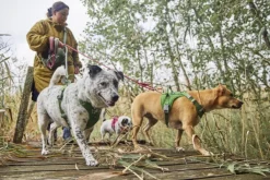 Hurtta Valjaat^Weekend Warrior II ECO Sele valjaat, 55-70cm, Parsley