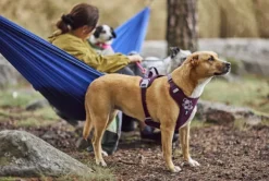 Hurtta Valjaat^Weekend Warrior II ECO Sele valjaat, 40-60cm, Eggplant