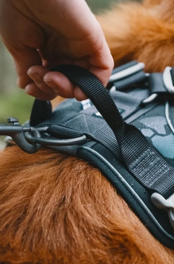 Hurtta Valjaat^Weekend Warrior Sele Raven 45-60 cm