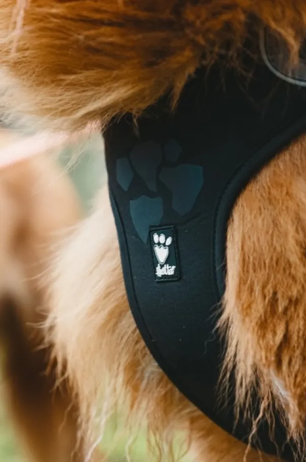 Hurtta Valjaat^Weekend Warrior Sele Raven 45-60 cm