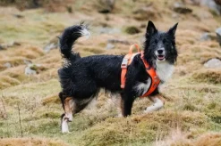 Hurtta Weekend Warrior -valjaat, musta 40-45 cm| Valjaat