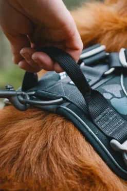 Hurtta Weekend Warrior -valjaat, musta 60-80 cm| Valjaat