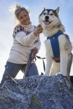 Hurtta Weekend Warrior Warming ECO valjaat, Bilberry 40-60 cm| Valjaat