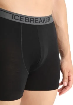 Icebreaker Alusvaatteet^Anatomica Boxers bokserit, Black