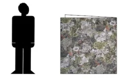 Jervenduken Naamiointi^Thermo Mountain