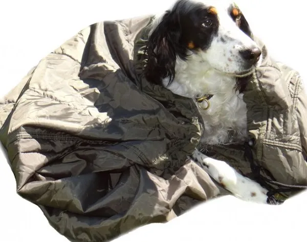 Jervenduken Tyynyt Ja Peitot^Tunturiviitta Koiralle PrimaLoft Eriste