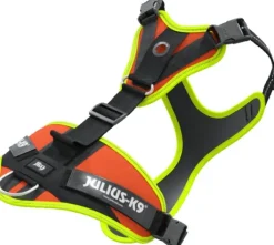 Julius K9 Mantrailing Sele valjaat, M-XL, oranssi| Valjaat