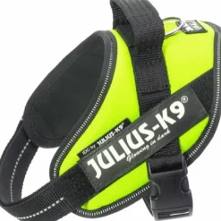 Julius K9 Julius-K9 IDC Mini -valjaat (49-67 cm)| Valjaat